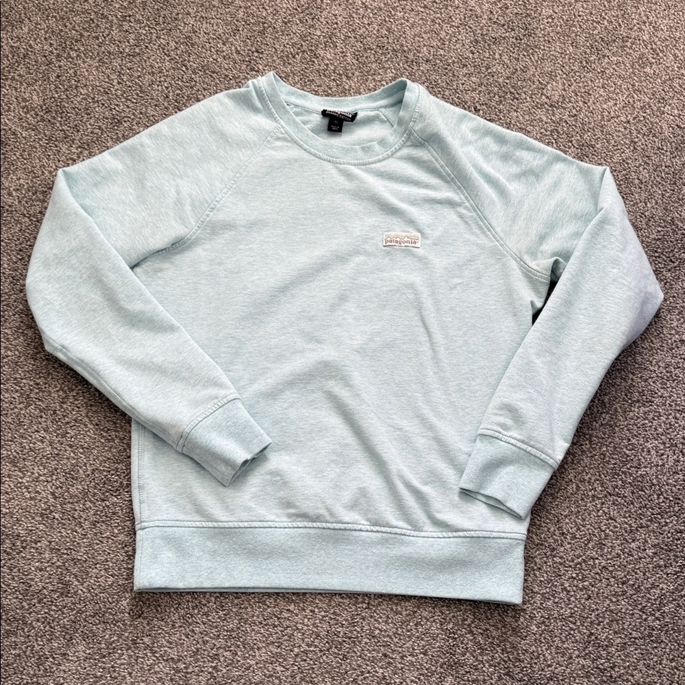 Patagonia Crewneck Sweater in Light Blue